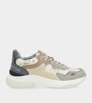 Anekke Beige Sports Memories Schuhe | 0527-DMCEN